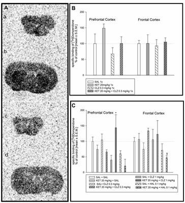 Repeated Clozapine Increases the Level of Serotonin 5-HT1AR Heterodimerization with 5-HT2A or Dopamine D2 Receptors in the Mouse Cortex